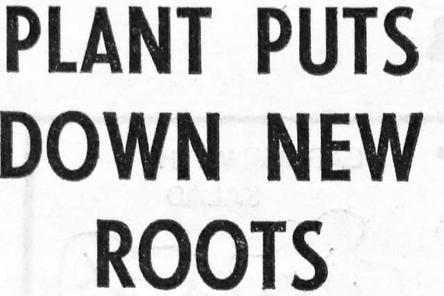 A contemporary mention in the Star's "Top in Pops" column.