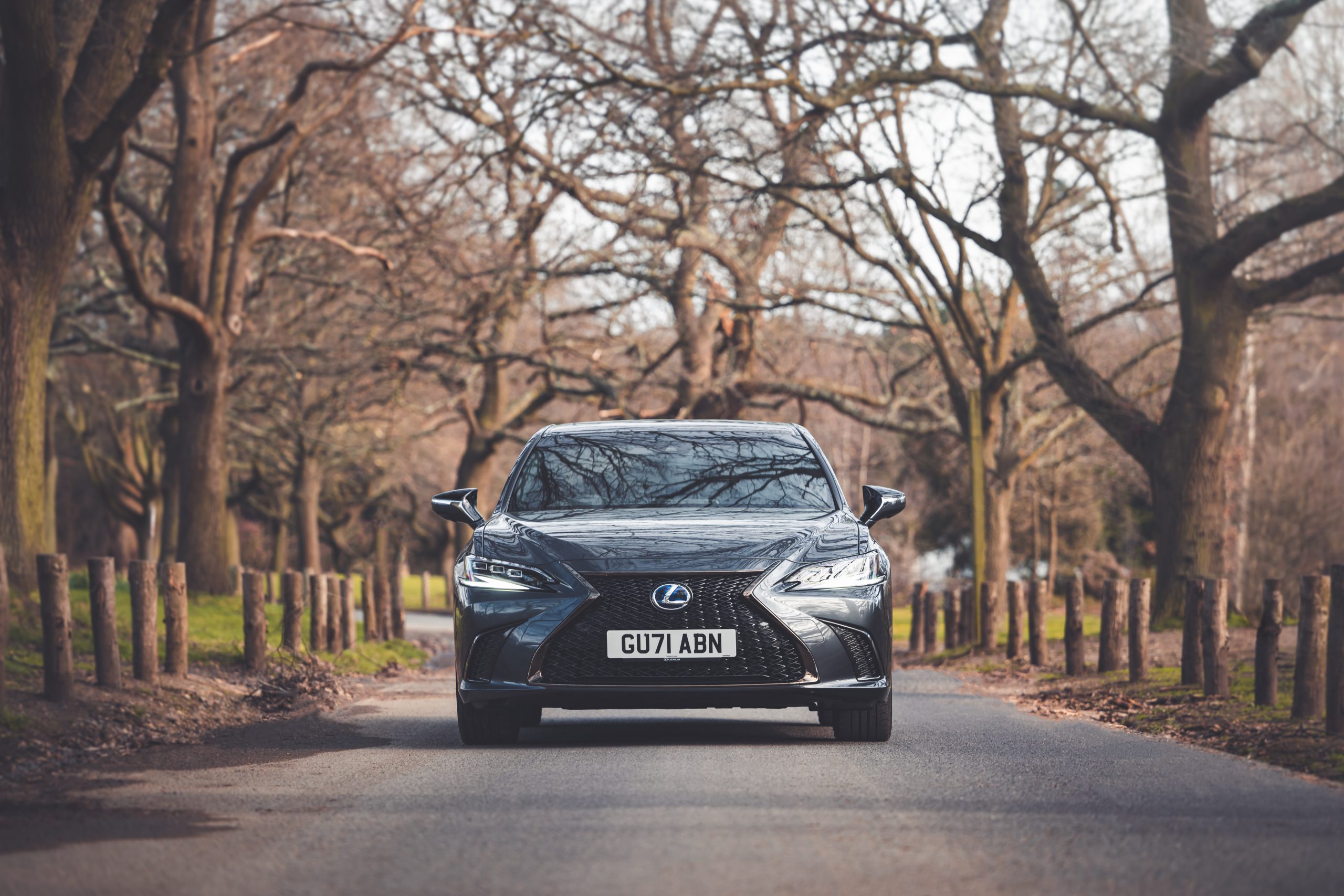 Lexus e300h