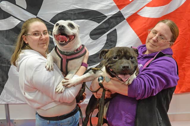 At the opening day of Crufts: Nicole and Jill Studley with Tia and Ted the Staffordshire Bull Terriers.