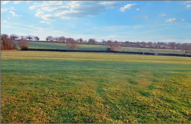 The land at Whitton