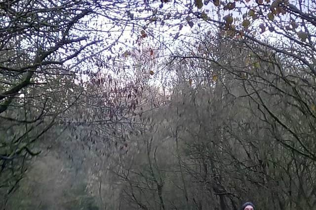 Telford parkrunners join in with the festivities. Photo: Kalig Beachy