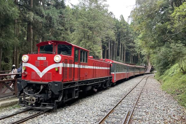 A vintage diesel locomotive similar to the one being shipped to Welshpool hauls a passenger train on the Alishan Forest Railway in Taiwan. Photo: Mal Tattersall