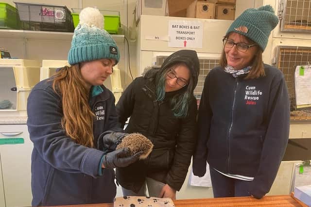 Staff at Cuan Wildlife Centre keep hats and coats on to keep heating costs down