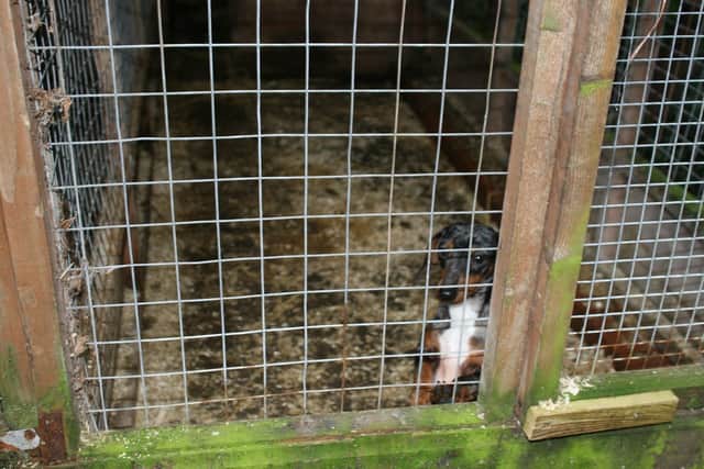 One of the cages