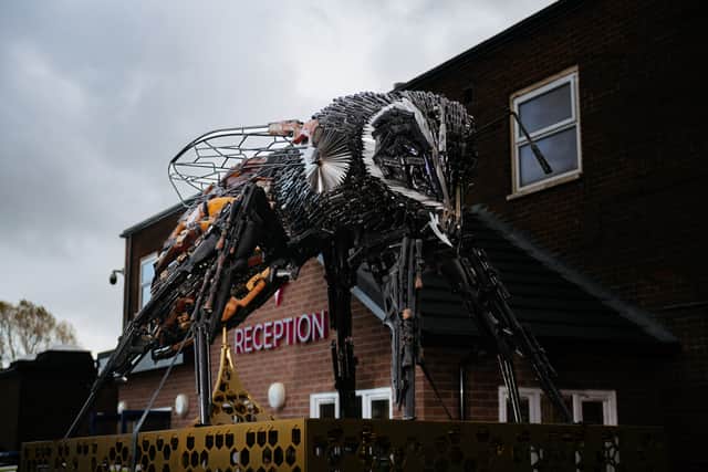 The Manchester Anti-Violence Bee visited Shrewsbury Academy
