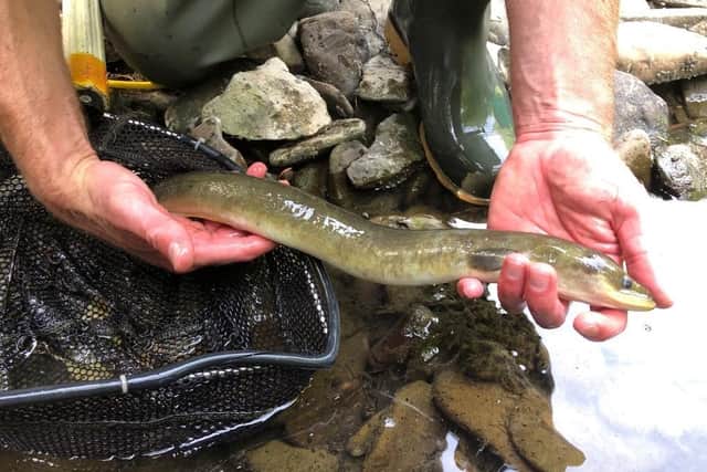 Photo: @EnvAgencyMids