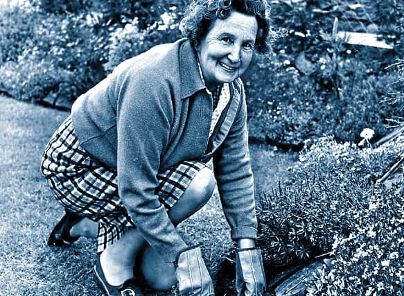 Dorothy Round tending to the garden at her Kinver home in 1972