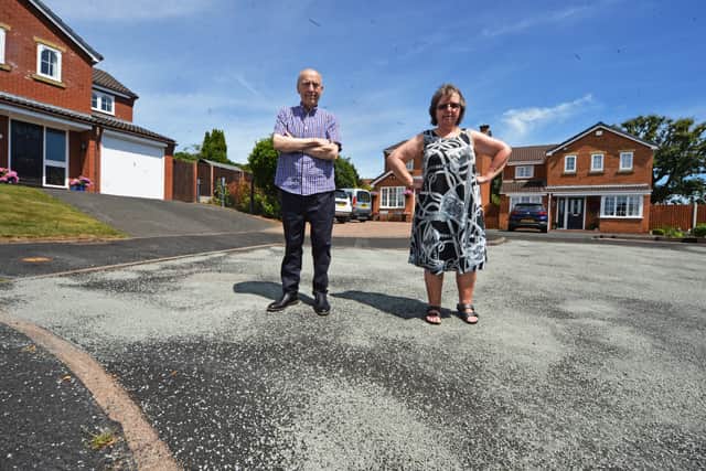 Cliff Owen and Kathleen Tong are two of the residents unhappy about the state of their road