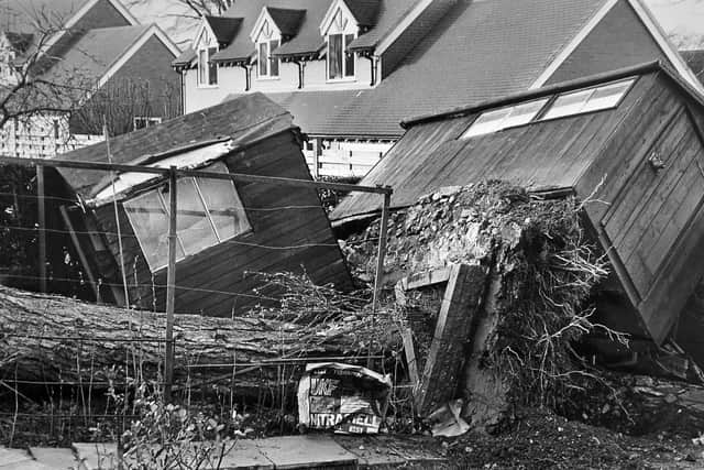 Two garden sheds were upended due to a falling tree