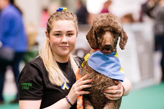 Morgan Looker and Rolly take a break after their competition