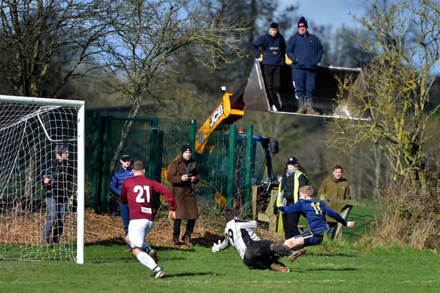 Spectators found novel ways to get a good view