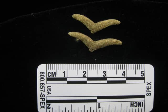 Wings from a German uniform. Photo: Wessex Archaeology