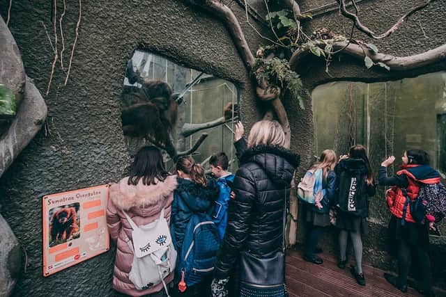 Chester Zoo is releasing 30,000 free tickets to school children to help them learn about the natural world