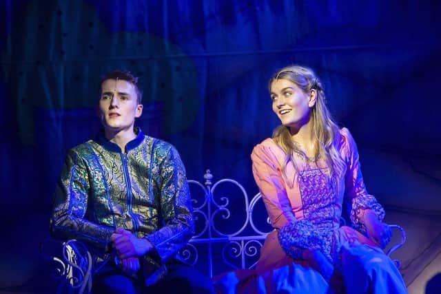 Andy in Sleeping Beauty at the Yvonne Arnaud theatre in Guildford
