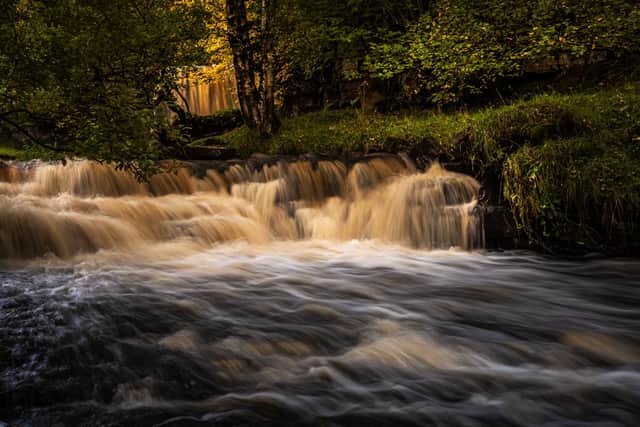 Golden Falls by Brian Kerrison
