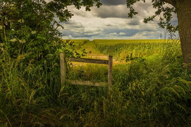 The Path Beyond the Fence by Brian Kerrison