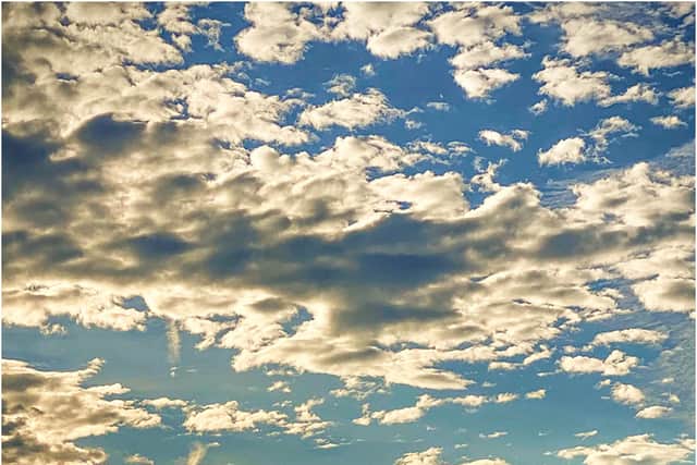 Windfarm Under a Big Sky by Colin Macklin
