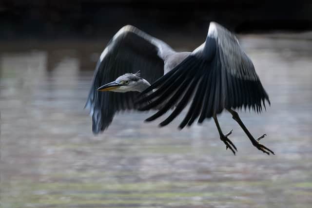Final Approach by Ian Garnham
