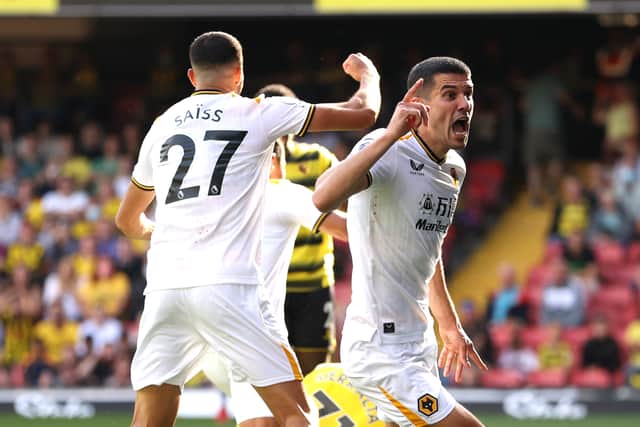 Wolves in action (Getty/Wolves)