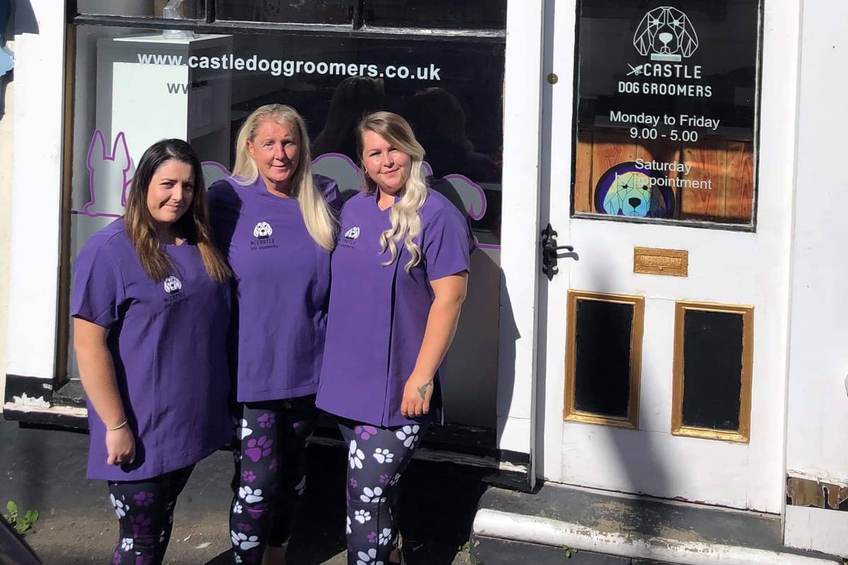 Annie Rupers Nurse starts dog grooming business after family illness forces major ...