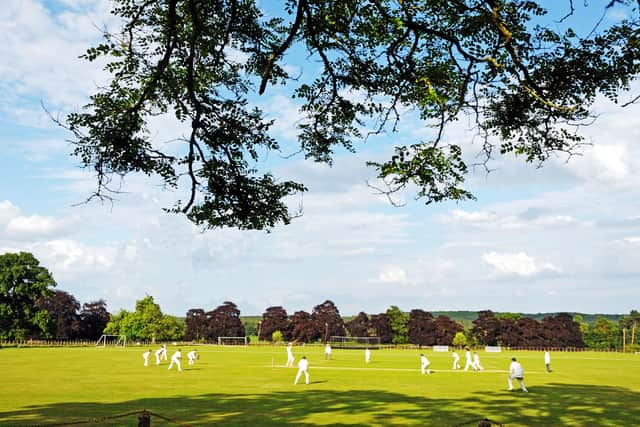 The beautiful Enville Cricket Ground in South Staffordshire where in 1870 the great cricketer W G Grace played. Photo: Graham Gough