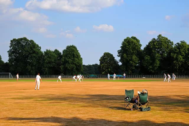 England's green and parched land: Enville cricket ground in need of some rain. Photo: Graham Gough