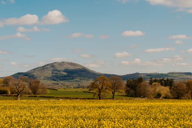 MP launches campaign to save the name of The Wrekin constituency