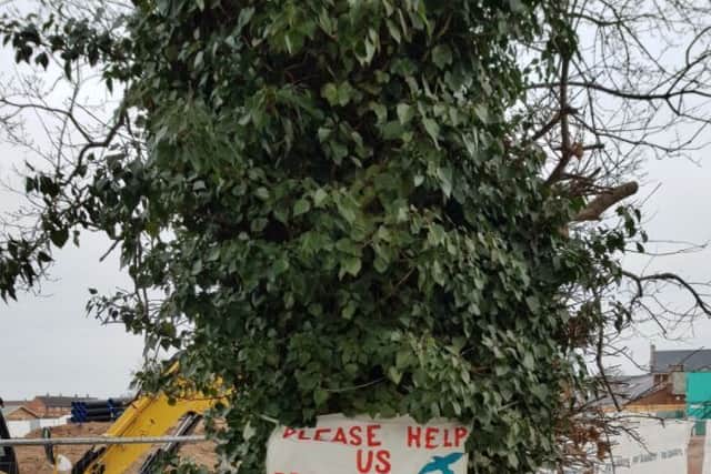 A sign on the tree in Harlescott