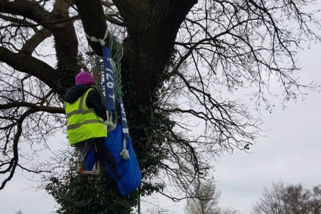 A protester sat in the tree in Featherbed Lane, Shrewsbury