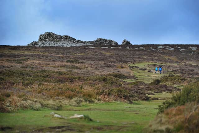 The Stiperstones