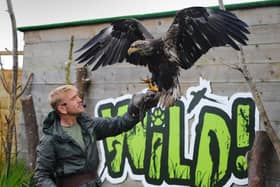 Director Zachary Hollinshead, with a bald eagle, at Wild Zoological Park, Halfpenny Green