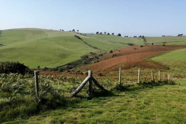 Norbury Hill