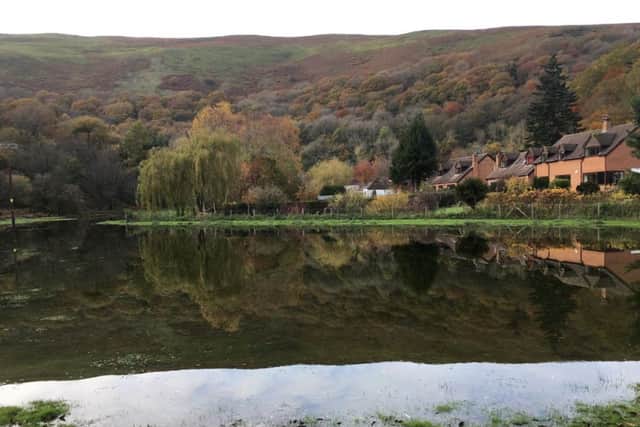 Cudwell Meadow near Church Stretton