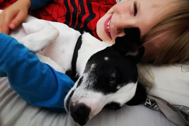 Ziggy with Keri's son Charlie. Image: Vets Now