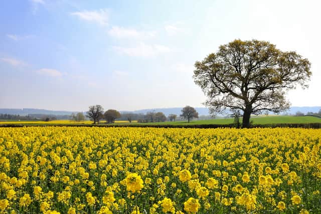 Wenlock Edge