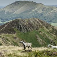 13km Shropshire hike named among UK's best winter walk