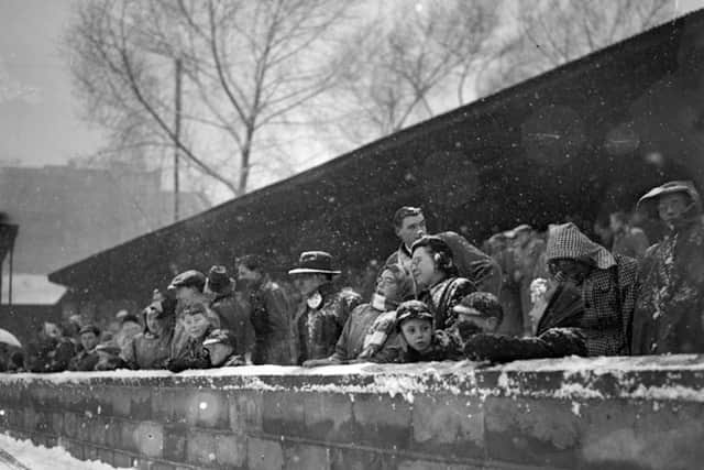 The crowd at the Gay Meadow, the ground of Shrewsbury Town, endure freezing conditions for the Third Division (Northern) match between the Town and Darlington FC played on Saturday, December 30, 1950
