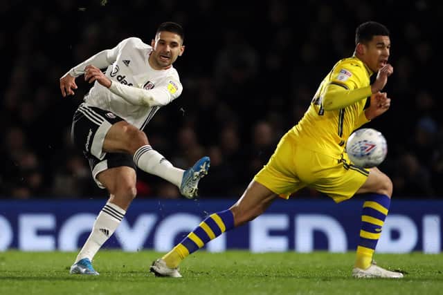 Fulham's Aleksandar Mitrovic