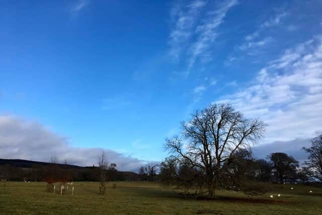 Countryside on the Shropshire/Welsh border