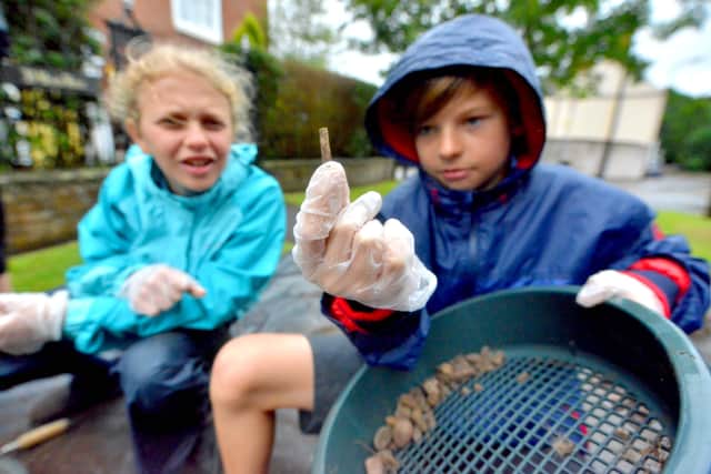 The Albrighton dig