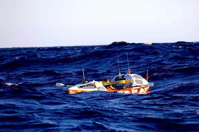 Storm Petrel at sea