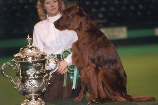 Danaway Debonair, Irish Setter with Jackie Lorrimer in 1993. credit the Kennel Club