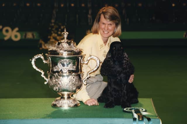 Canigou Cambrai, English Cocker Spaniel, with Tricia Bentley in 1996. Credit Marc Henrie and the Kennel Club