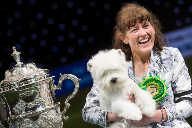 Burneze Geordie Girl, West Highland White Terrier with Marie Burns. Credit OnEdition and the Kennel Club
