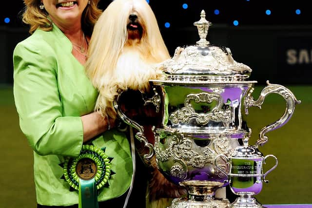 Elizabeth, a Lhasa Apso, winner of the Best in Show title, with owner Margaret Anderson, at Crufts 2012