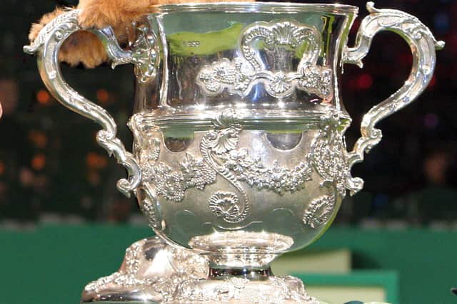 Cracknor Cause Celebre Norfolk Terrier in 2005. Credit Lisa Croft-Elliott and the Kennel Club