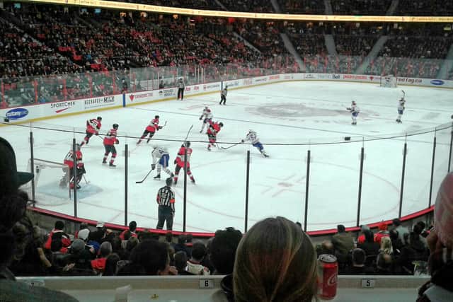 Ottawa Senators in action