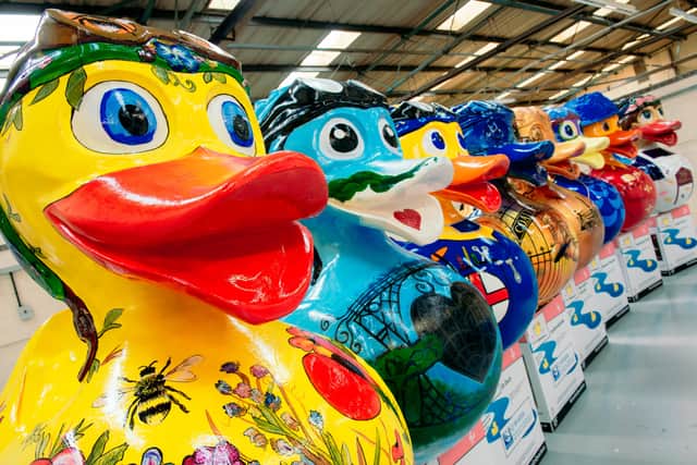 The Let's Go Quackers ducks
