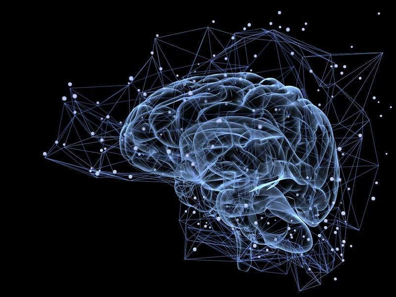 Every individual has a unique brain anatomy, study reveals