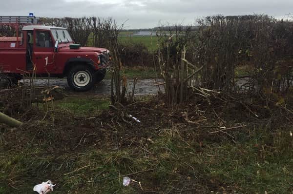 The plane careered through a hedge
